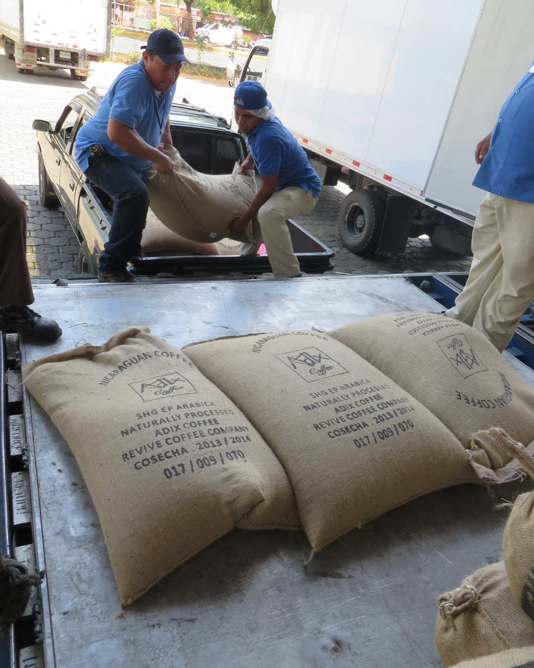 Nicaragua Red Catuai