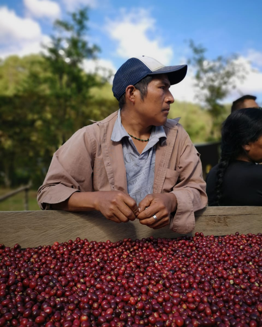 Mexico Sakubel