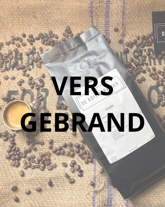 Uganda Red Bourbon (VERS)